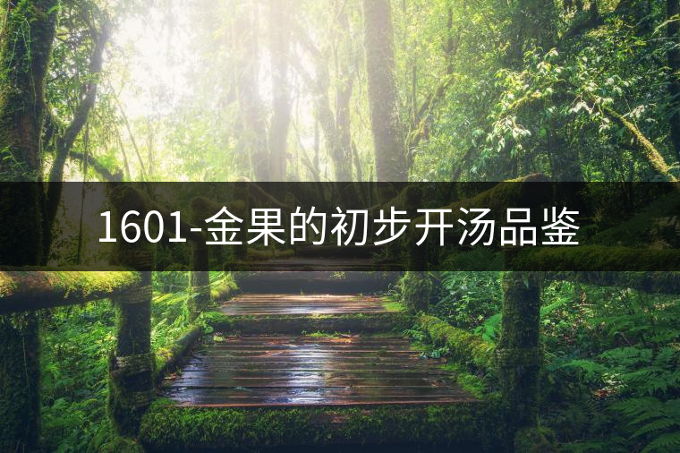 1601-金果的初步開湯品鑒 1601-金果的初步開湯品鑒