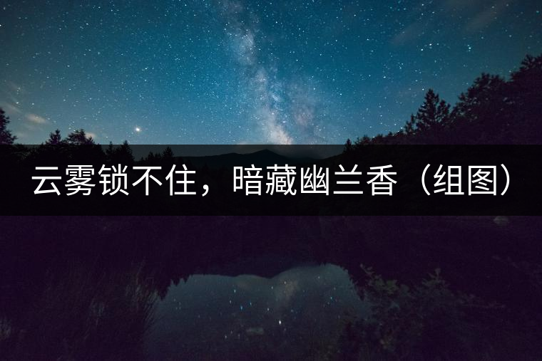 云霧鎖不住，暗藏幽蘭香（組圖）