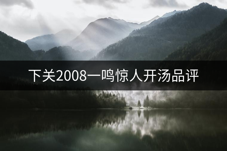 下關(guān)2008一鳴驚人開湯品評 下關(guān)2008一鳴驚人開湯品評