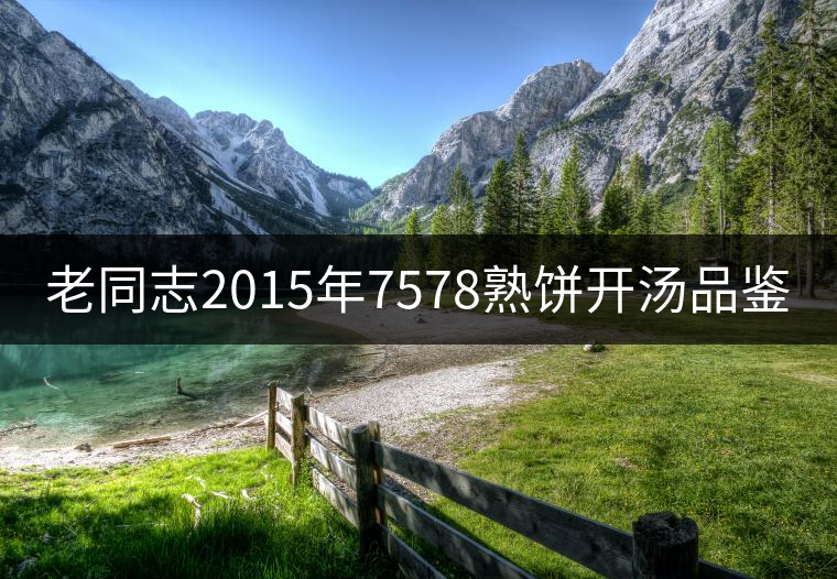 老同志2015年7578熟餅開湯品鑒