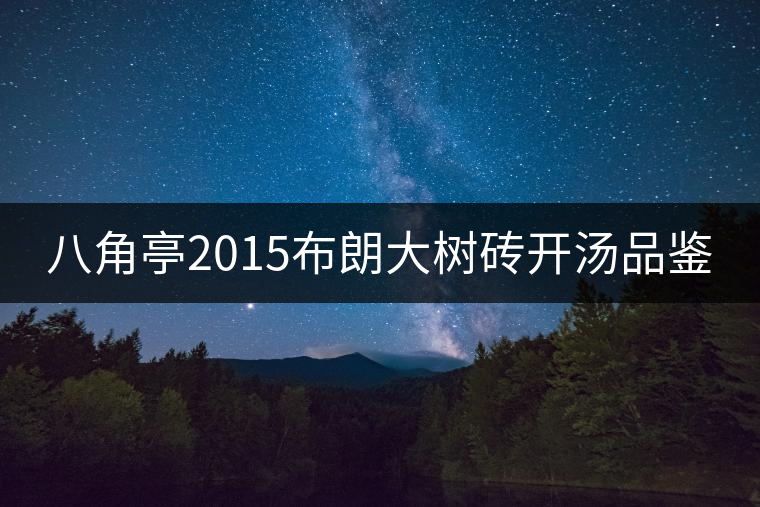 八角亭2015布朗大樹(shù)磚開(kāi)湯品鑒 八角亭2015布朗大樹(shù)磚開(kāi)湯品鑒