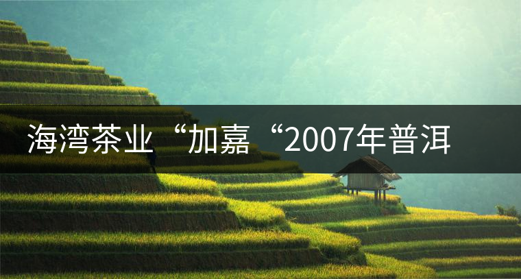 海灣茶業(yè)“加嘉“2007年普洱方磚（生茶）品評