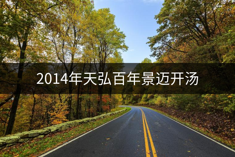 2014年天弘百年景邁開湯 2014年天弘百年景邁開湯