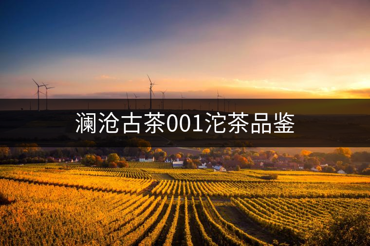 瀾滄古茶001沱茶品鑒