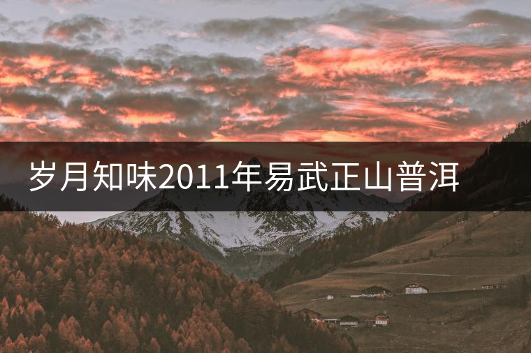 歲月知味2011年易武正山普洱茶開(kāi)湯品鑒 歲月知味2011年易武正山普洱茶開(kāi)湯品鑒