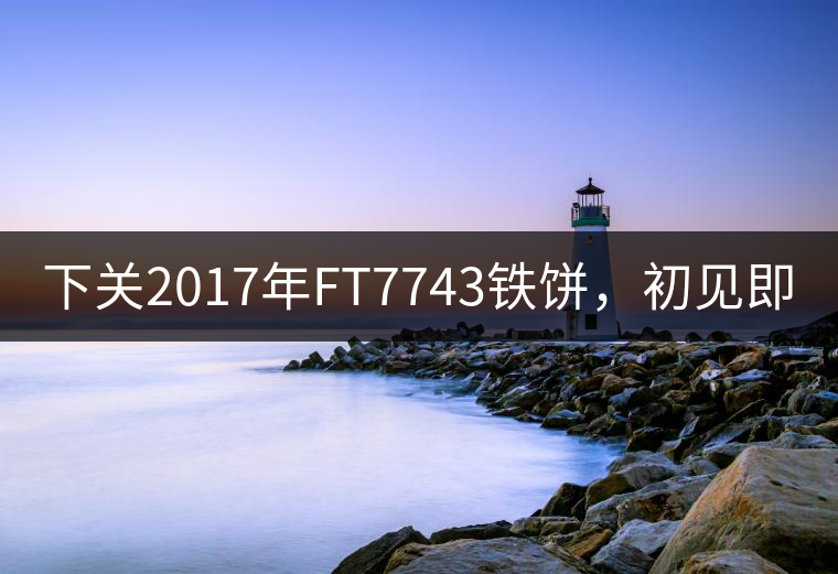 下關(guān)2017年FT7743鐵餅，初見(jiàn)即傾城!