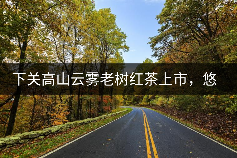 下關(guān)高山云霧老樹紅茶上市，悠悠春茶香