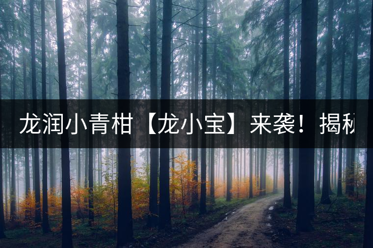 龍潤小青柑【龍小寶】來襲！揭秘它的前半生！