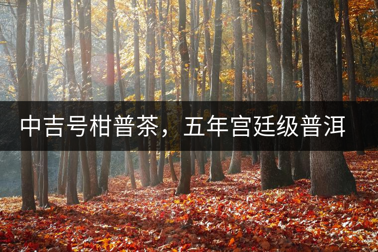 中吉號(hào)柑普茶，五年宮廷級(jí)普洱陳料上市啦！