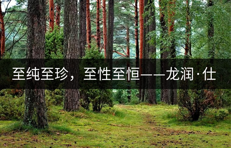 至純至珍，至性至恒——龍潤(rùn)·仕通茶新上市！