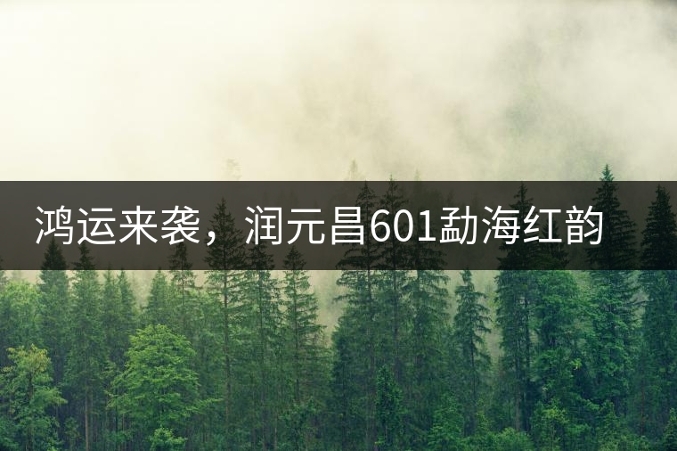 鴻運來襲，潤元昌601勐海紅韻熟茶即將上市