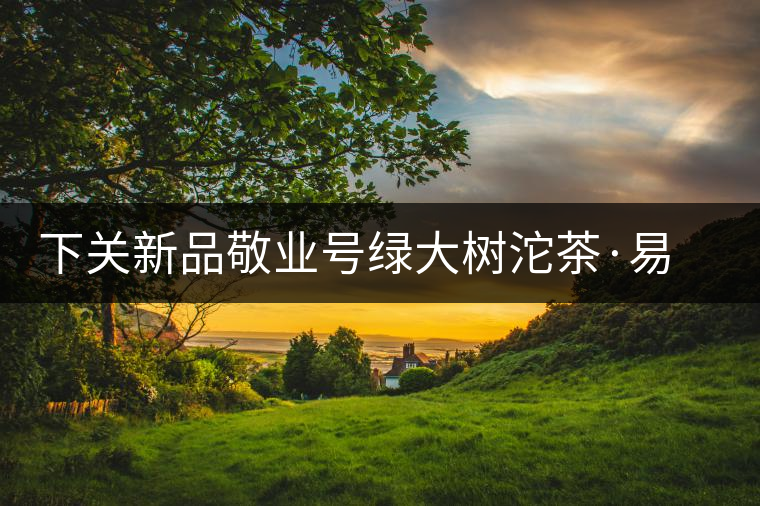 下關新品敬業(yè)號綠大樹沱茶·易武刮風寨 下關新品敬業(yè)號綠大樹沱茶·易武刮風寨
