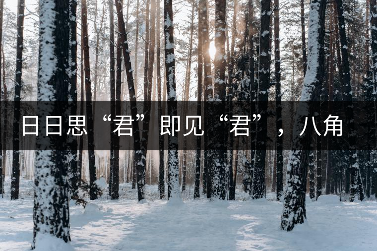 日日思“君”即見“君”，八角亭竹筒茶君子即將上市