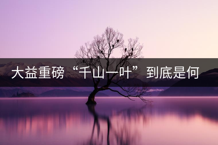 大益重磅“千山一葉”到底是何方神圣？