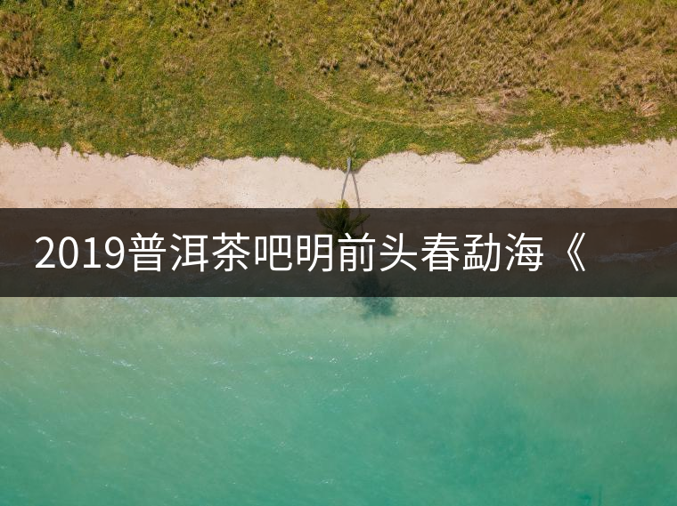 2019普洱茶吧明前頭春勐海《月光白》白茶優(yōu)惠訂購(gòu) 2019普洱茶吧明前頭春勐?!对鹿獍住钒撞鑳?yōu)惠訂購(gòu)
