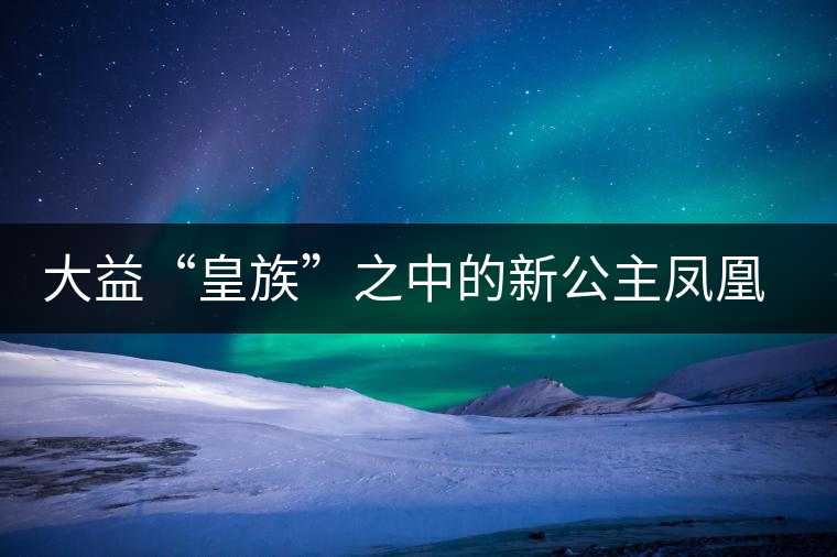 大益“皇族”之中的新公主鳳凰格格甜美來(lái)襲