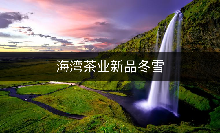 海灣茶業(yè)新品冬雪 海灣茶業(yè)新品冬雪