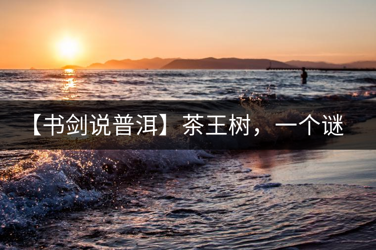 【書劍說普洱】茶王樹，一個謎一樣的地方