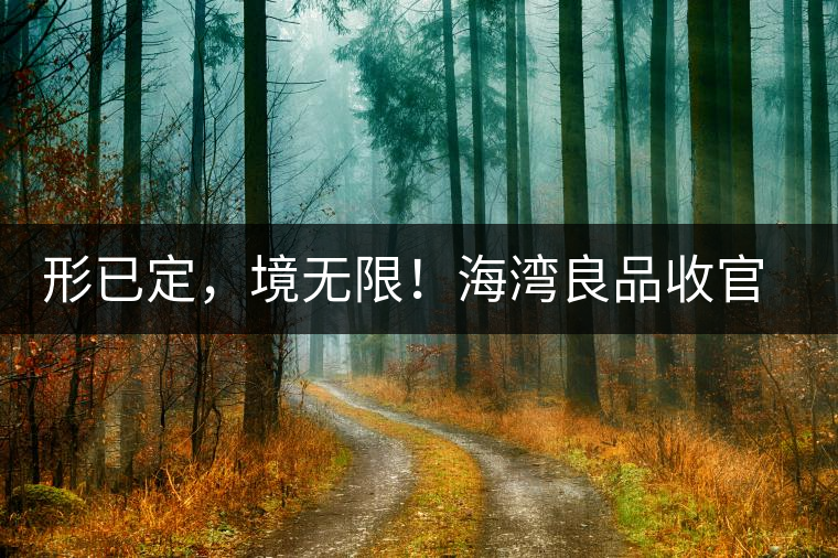 形已定，境無限！海灣良品收官季『良禪品』