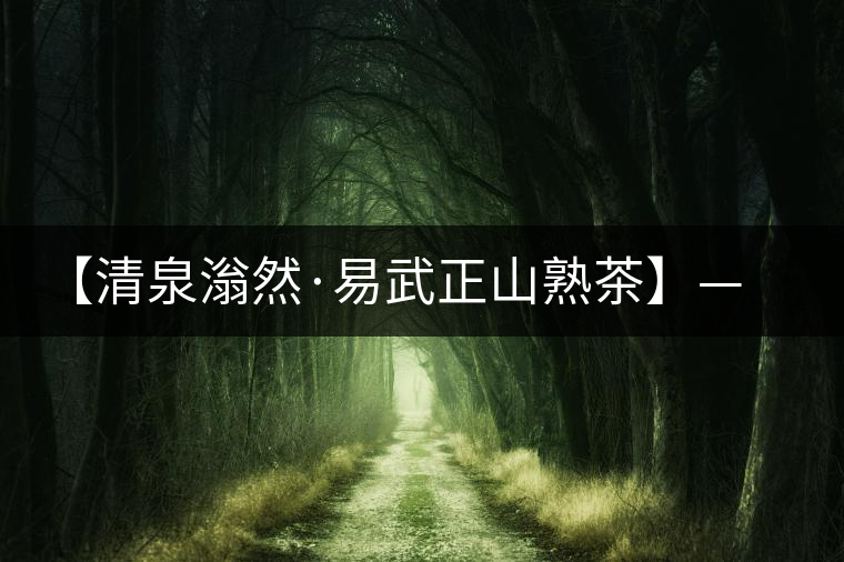 【清泉滃然·易武正山熟茶】——熨帖冬季的寒冷，來(lái)的正是時(shí)候！
