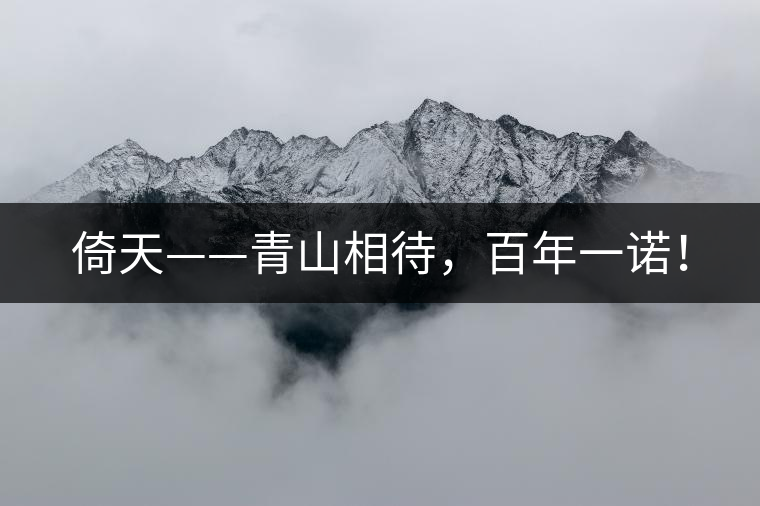 倚天——青山相待，百年一諾！