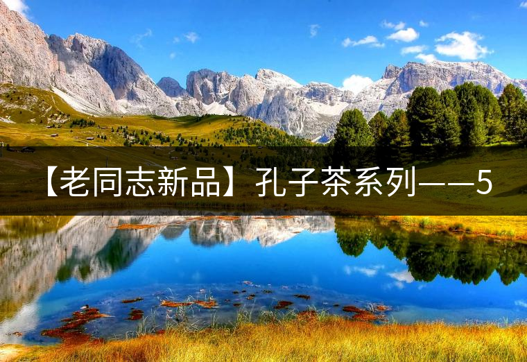 【老同志新品】孔子茶系列——55.1克九宮格紀念熟磚