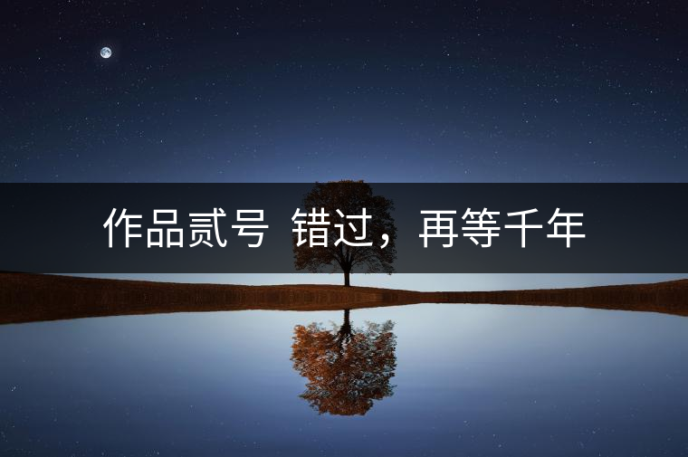 作品貳號(hào)  錯(cuò)過，再等千年