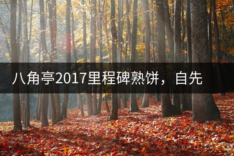 八角亭2017里程碑熟餅，自先發(fā)酵而后愛人