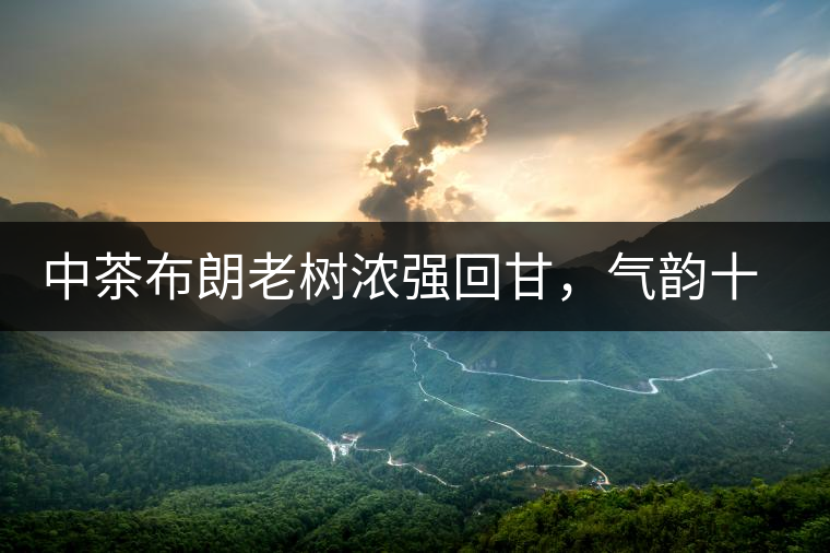 中茶布朗老樹濃強(qiáng)回甘，氣韻十足