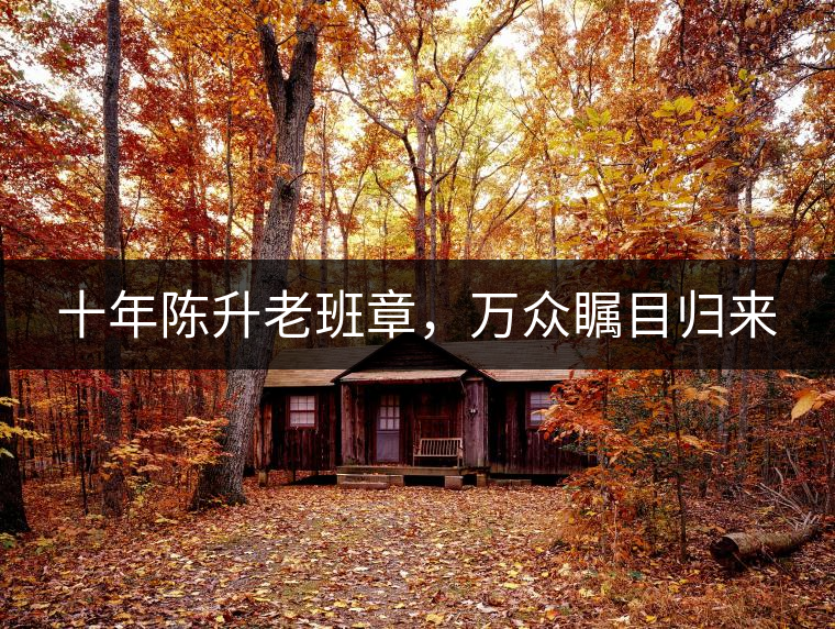 十年陳升老班章，萬眾矚目歸來