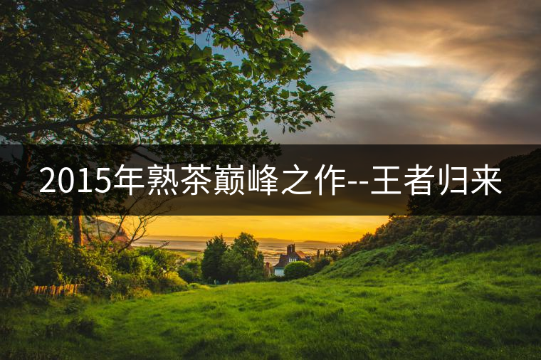 2015年熟茶巔峰之作--王者歸來(lái) 2015年熟茶巔峰之作--王者歸來(lái)