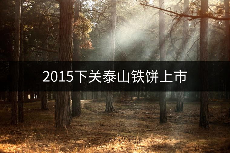 2015下關泰山鐵餅上市 2015下關泰山鐵餅上市