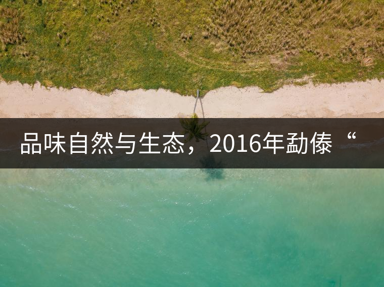 品味自然與生態(tài)，2016年勐傣“大雪山古樹茶”