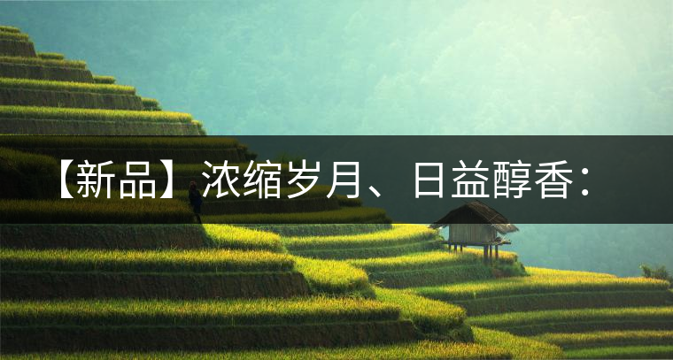 【新品】濃縮歲月、日益醇香：陳臻號陳品熟餅即將上市！