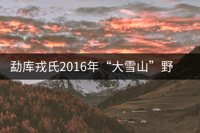 勐庫戎氏2016年“大雪山”野生茶清新問世 勐庫戎氏2016年“大雪山”野生茶清新問世