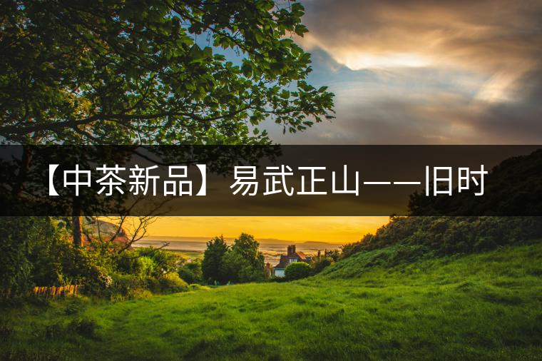 【中茶新品】易武正山——舊時難得茗中瑞品 【中茶新品】易武正山——舊時難得茗中瑞品