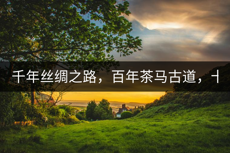 千年絲綢之路，百年茶馬古道，十年尋茶之旅，鑄造Puertea（十年紀(jì)念茶）