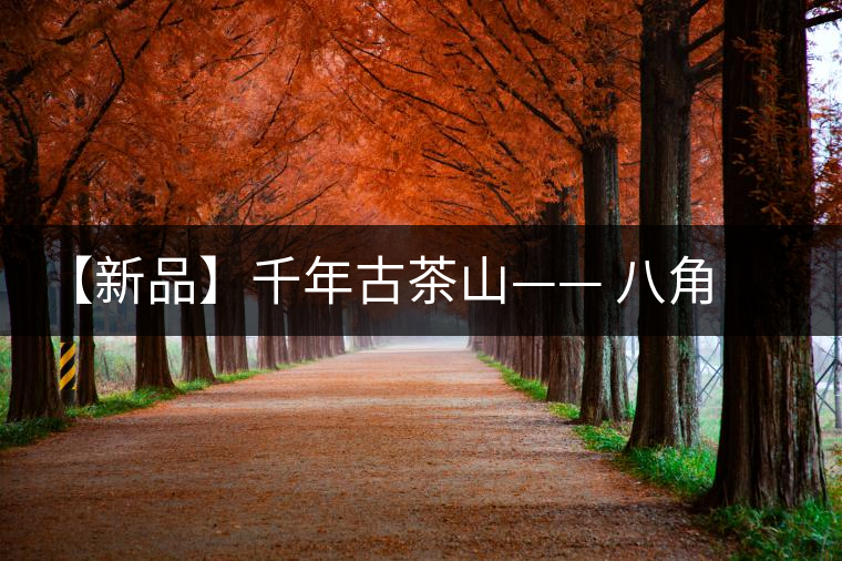 【新品】千年古茶山—— 八角亭南糯大葉方磚即將上市