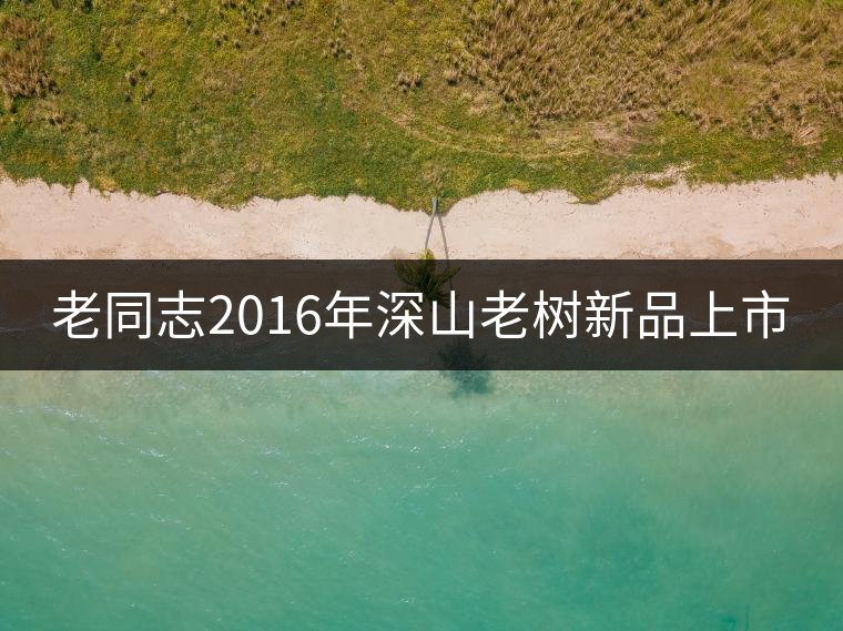 老同志2016年深山老樹新品上市 老同志2016年深山老樹新品上市