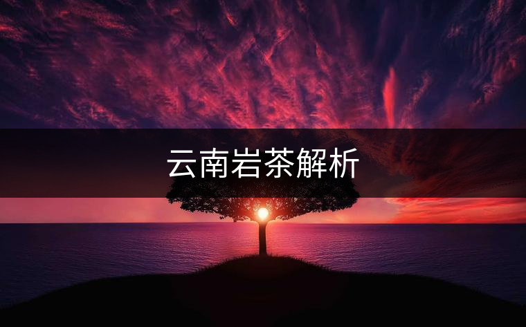 云南巖茶解析 云南巖茶解析