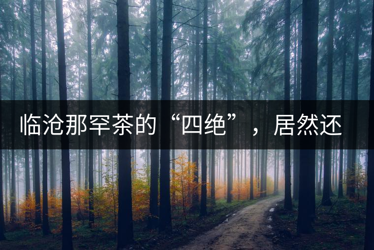 臨滄那罕茶的“四絕”，居然還沒說到它的品質(zhì)