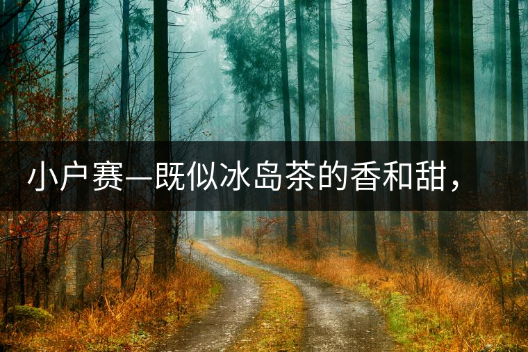 小戶賽—既似冰島茶的香和甜，又有其獨(dú)特的純和凈