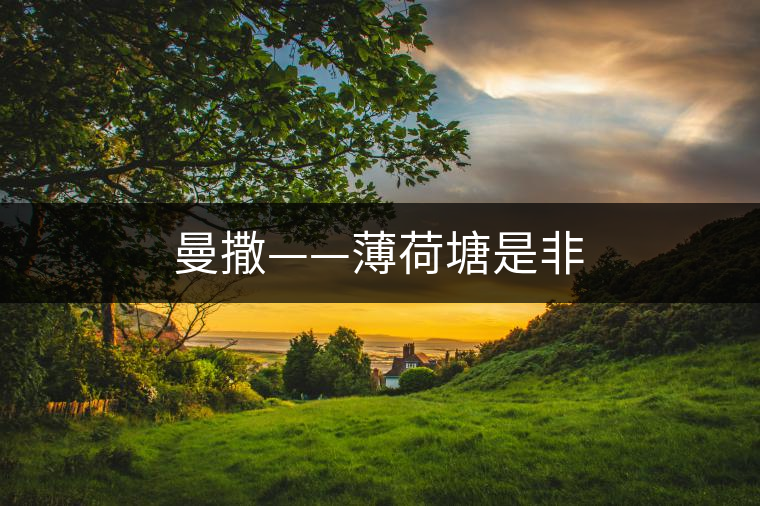曼撒——薄荷塘是非 曼撒——薄荷塘是非