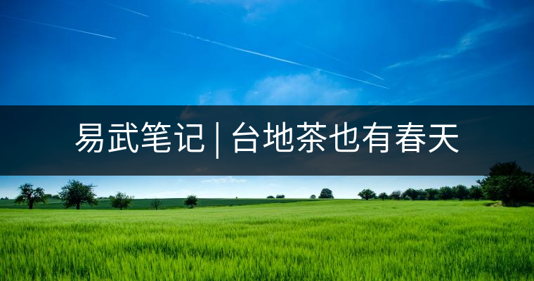 易武筆記 | 臺地茶也有春天