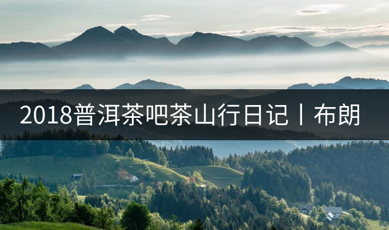 2018普洱茶吧茶山行日記丨布朗山帕點(diǎn)古茶園(二) 2018普洱茶吧茶山行日記丨布朗山帕點(diǎn)古茶園(二)