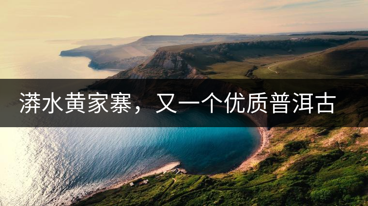 漭水黃家寨，又一個(gè)優(yōu)質(zhì)普洱古樹(shù)群落