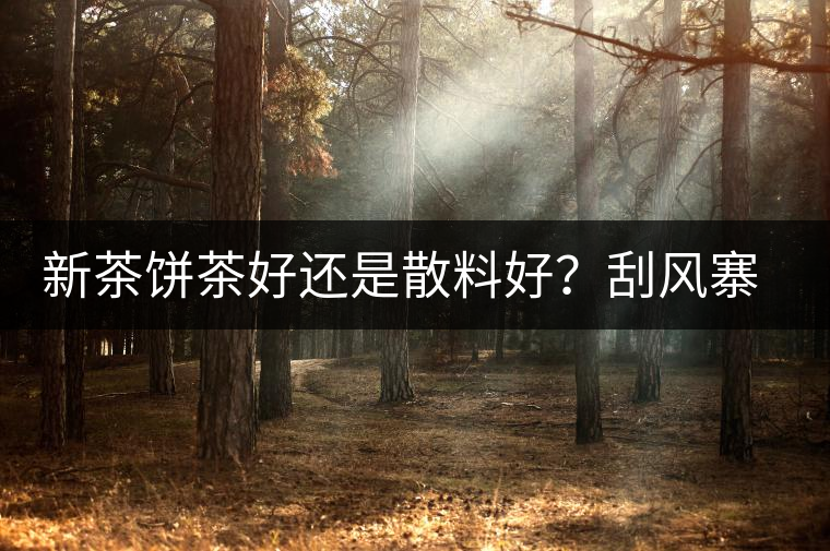 新茶餅茶好還是散料好？刮風(fēng)寨開湯評(píng)測