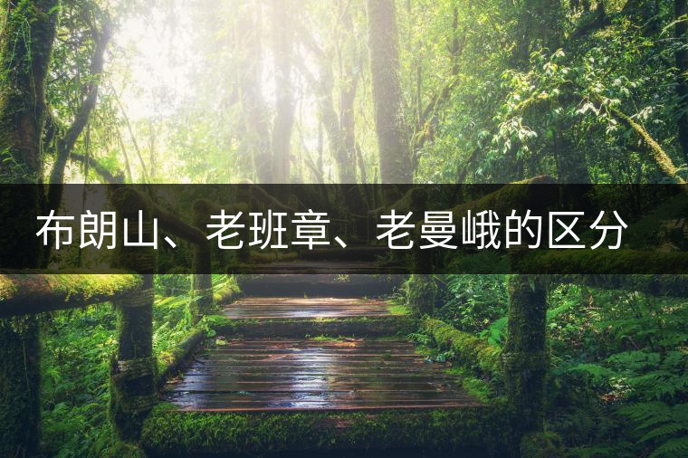 布朗山、老班章、老曼峨的區(qū)分和鑒別