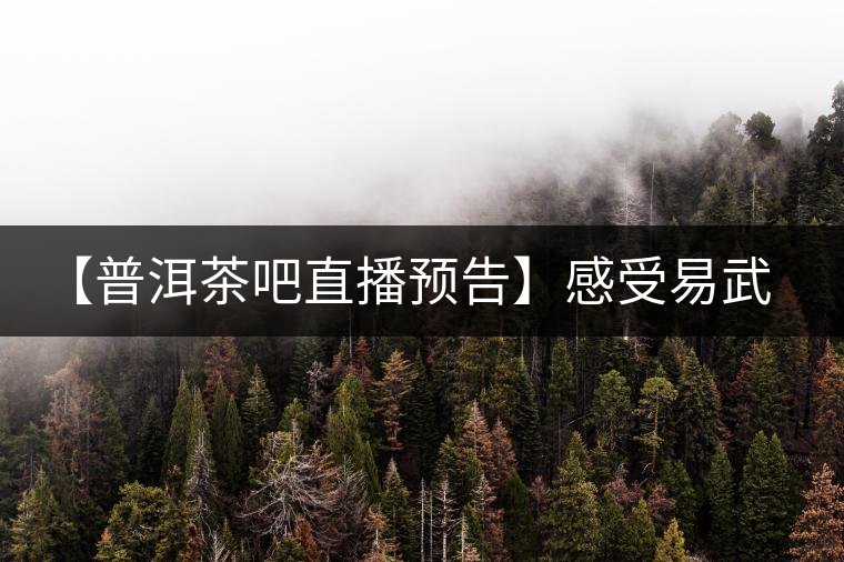 【普洱茶吧直播預告】感受易武刮風寨普洱茶的轉(zhuǎn)化（第十四期）