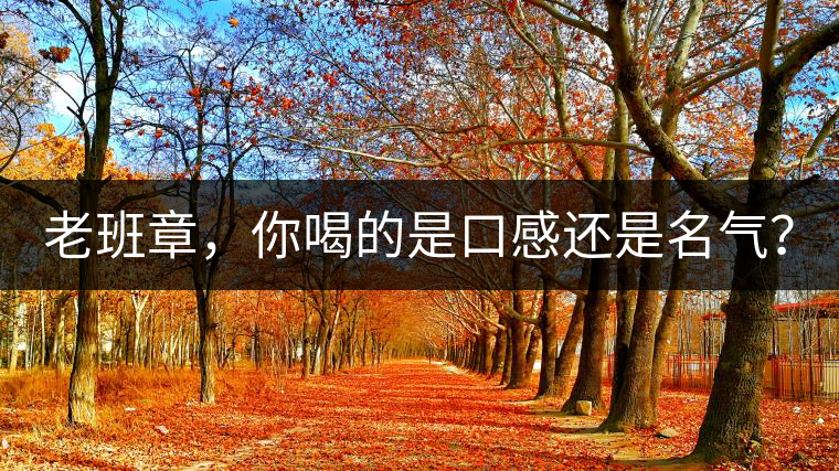 老班章，你喝的是口感還是名氣？